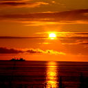 Евгений Холодцов