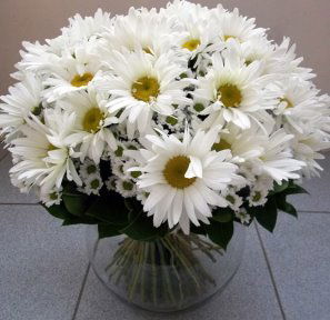 Инесса Чернина.