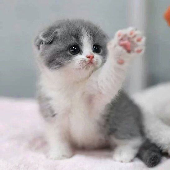 Илья Барыков