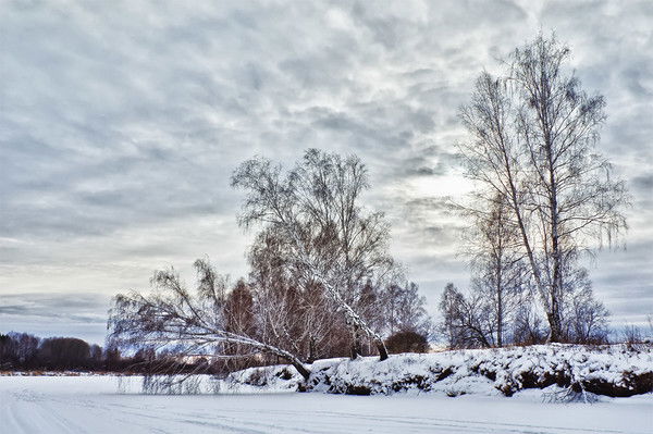 Любовь Дударева
