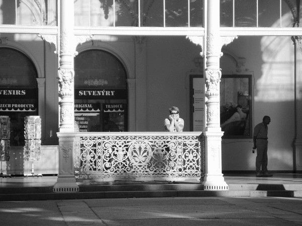 Елена Арсененко