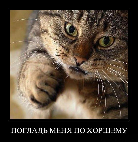 Андрей Шабаев