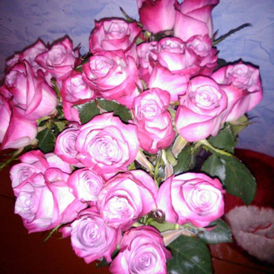 Зульфия Тагирова