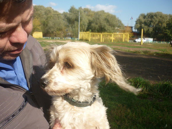 Бахтиш Холик