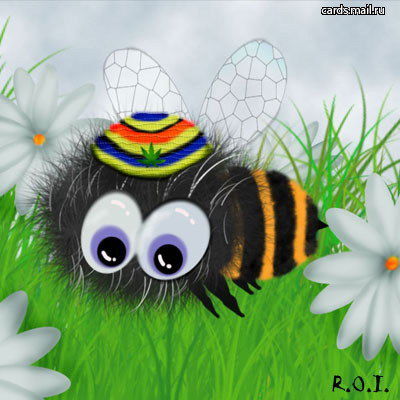 Лариса Ермохина