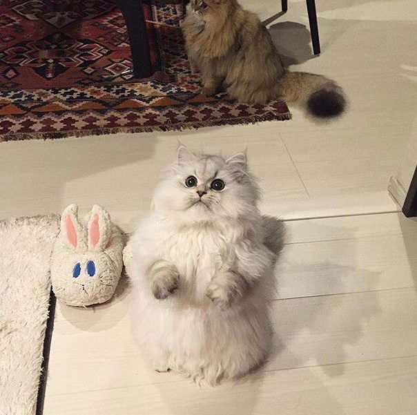 Светлана Бутримова