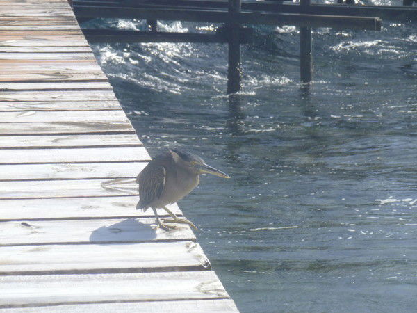 Владимир Бабичев