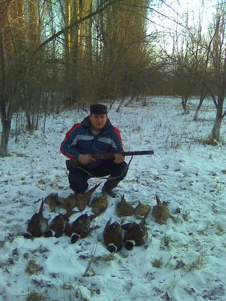 Алмаз Темирбаев