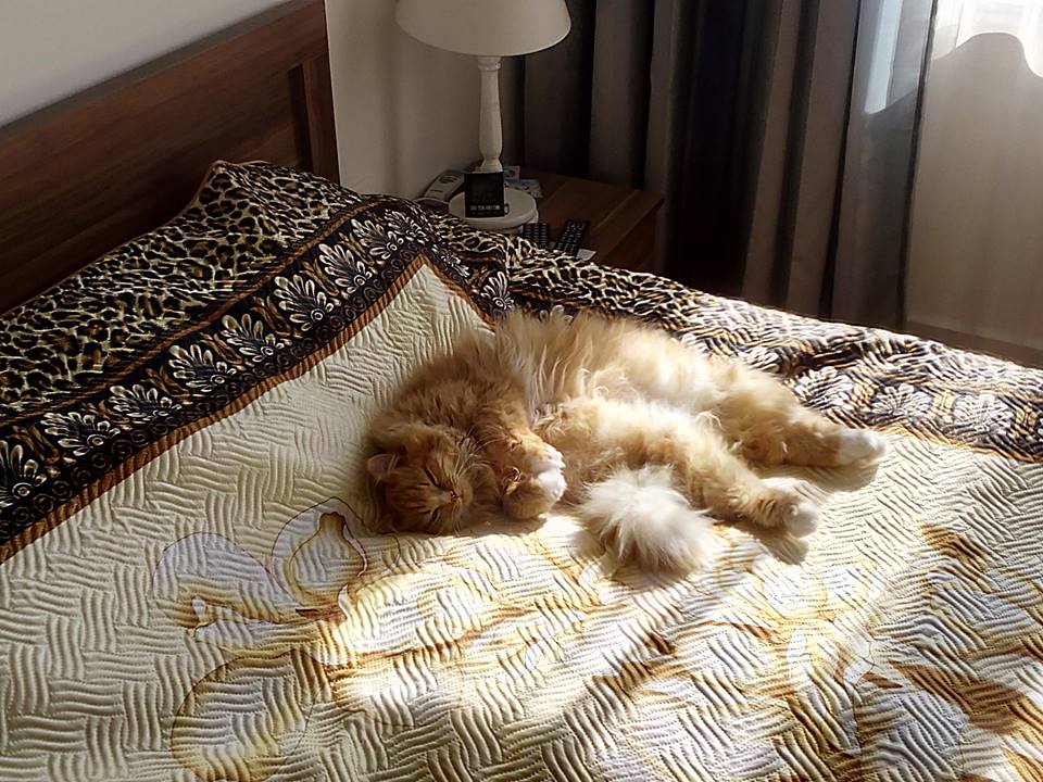 Владимир Воронакин