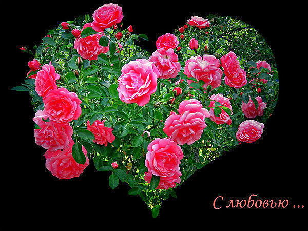 Фотима Нормуродова