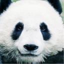 Михаил Боков