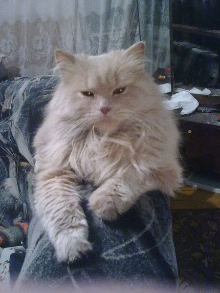 Татьяна Сазыкина