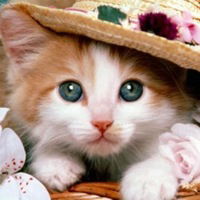 Яна Орманжи