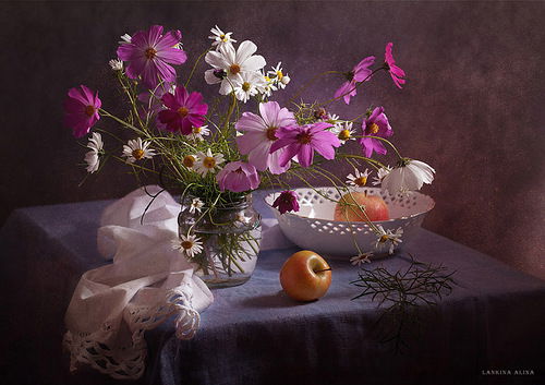 Елена Смирнова