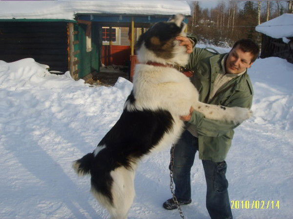 Витек Лимонт