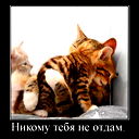 Карина Лис