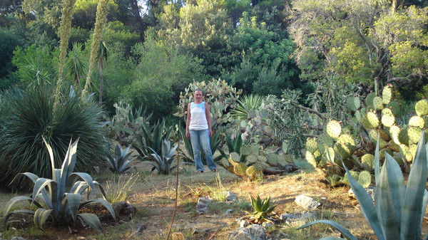 Елена Еремицкая