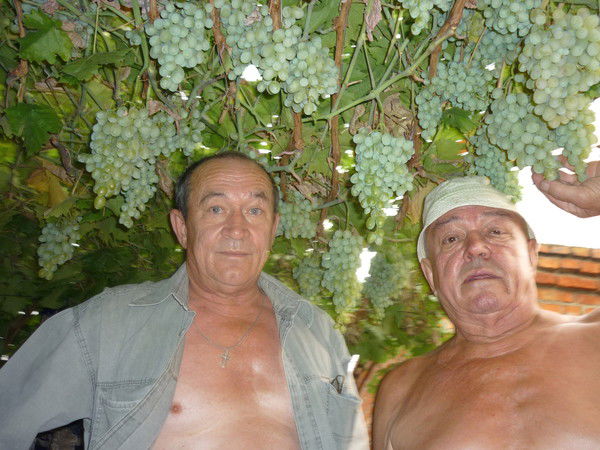 Владимир Голомин