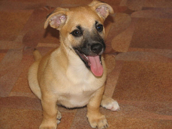 Виталий Александров