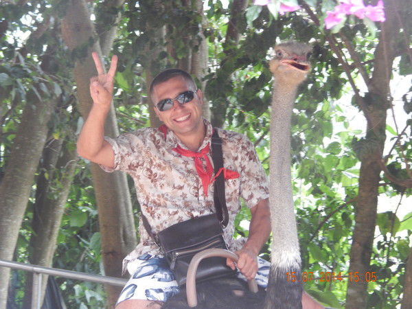 Вячеслав Вяткин