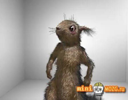 Вера Егорова