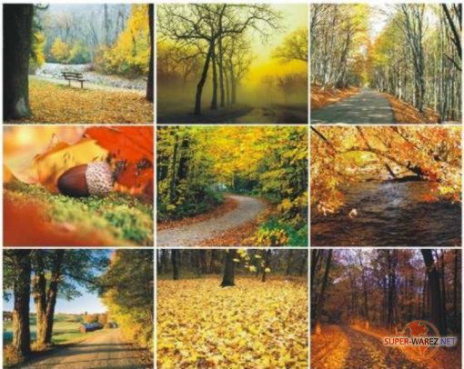 Александра Багрянцева