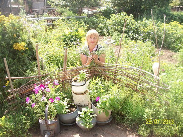 Евгения Аверкина