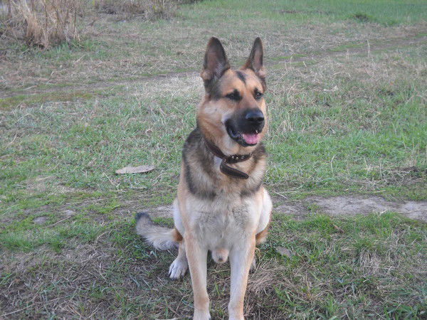 Анастасия Адмова