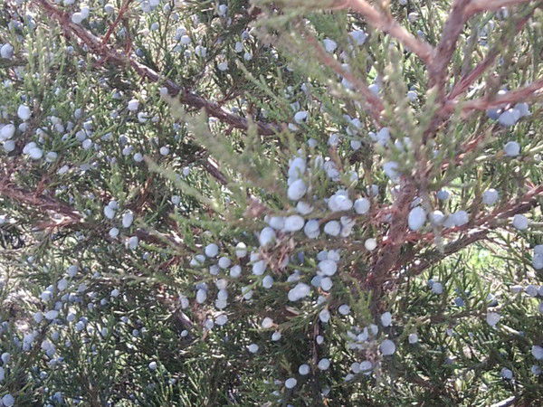 Сергей Загоруйко