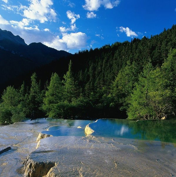 Лариса Морарь