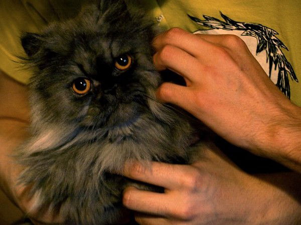 Валентина *****