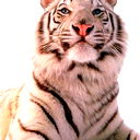 Александр .