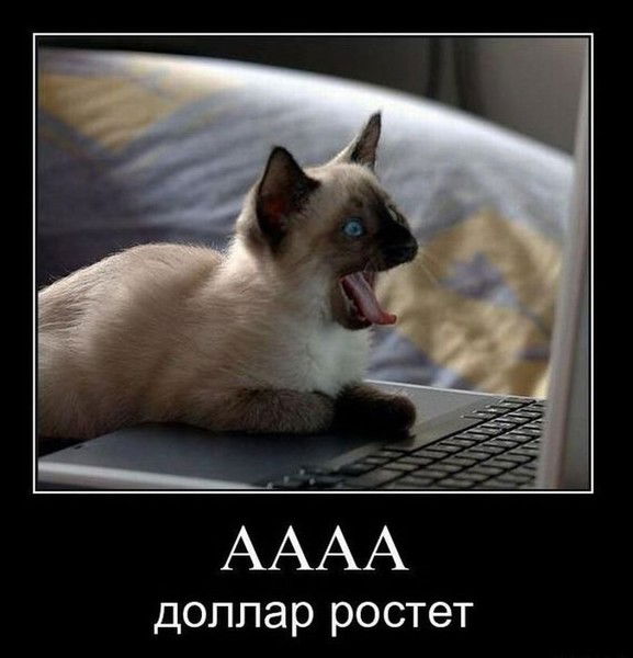 Игорь Игорев