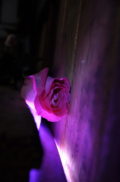 Евгения Бражникова