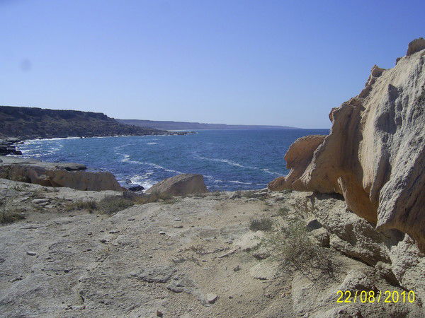 Светлана Межнякова