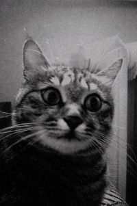 Наташа Скворцова