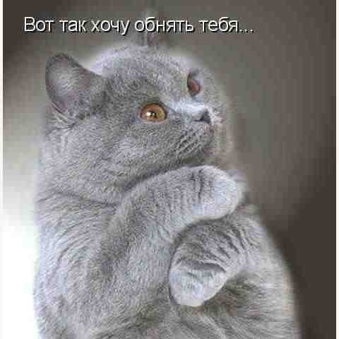 Жигер Тойгамбаев