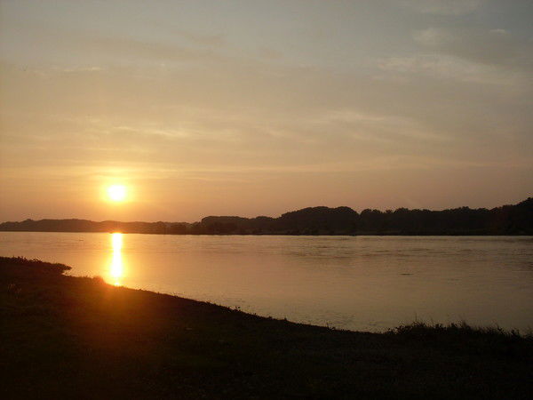 Блондин Блондин