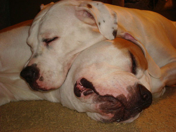 Татьяна Ашихмина