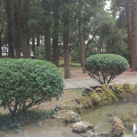 Александр Сенчило