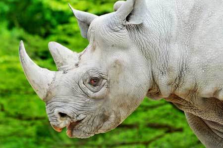 Наталья Юрченко