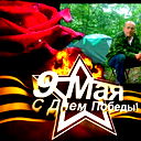 Дмитрий Шибаев