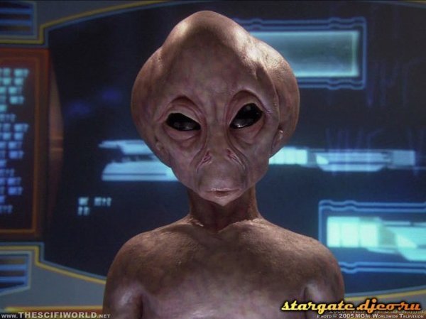 Стас Багнич