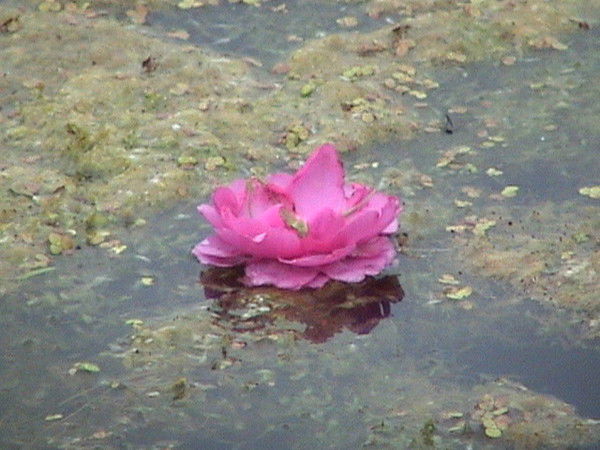 Наталья Исмагилова