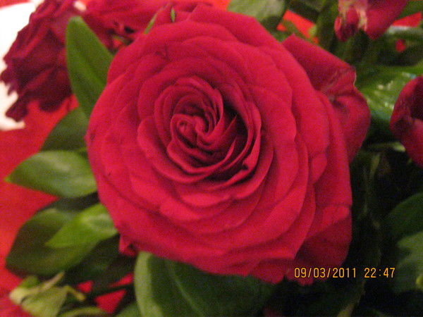 Куралай Сулейменова