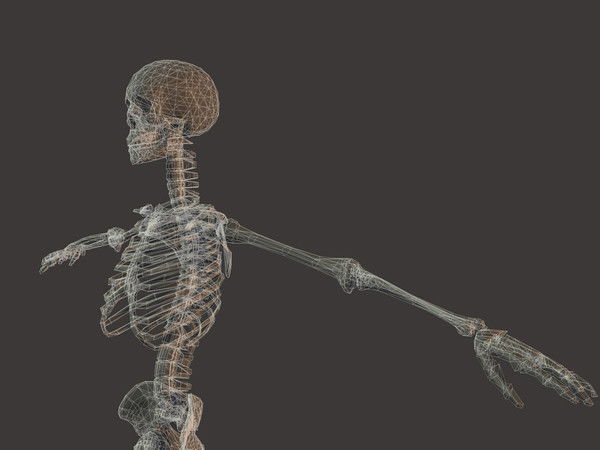 Александр Скобельский