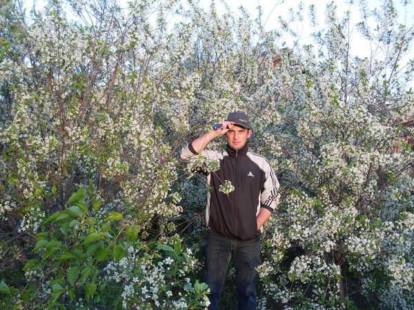 Константин Горлов