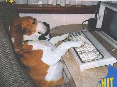 Виталий Жестков