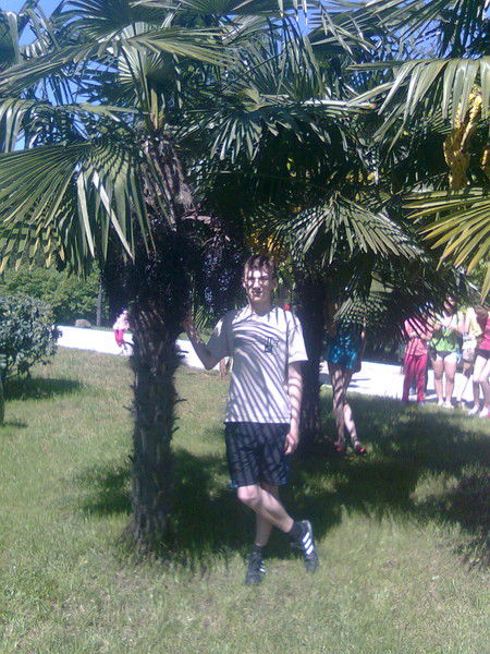 Владимир Веселов