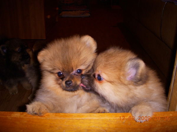 Ольга Петухова